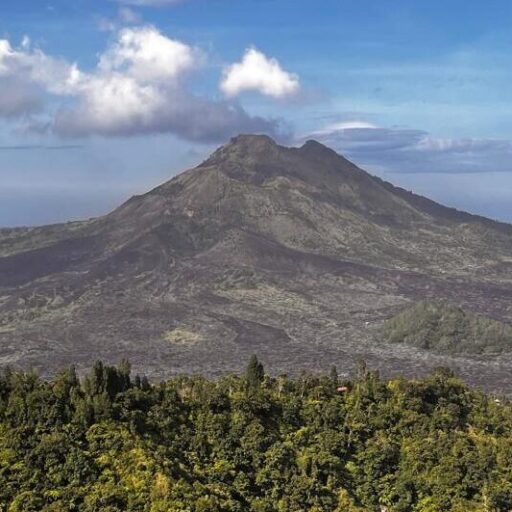 cropped cropped cropped cropped kintamani kecil3 1 2.jpeg